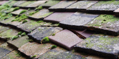 Dunton roof repair costs